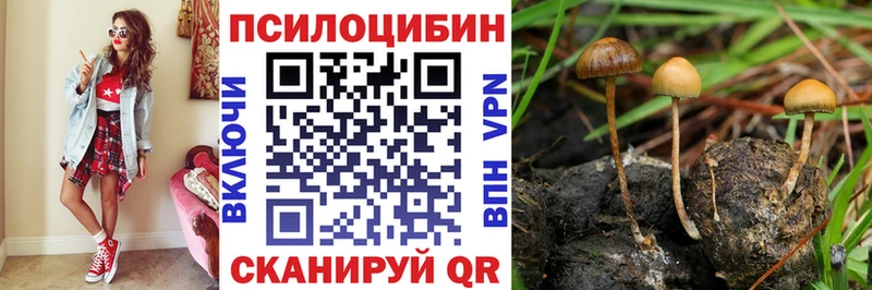 Псилоцибиновые грибы ЛСД  Наволоки 